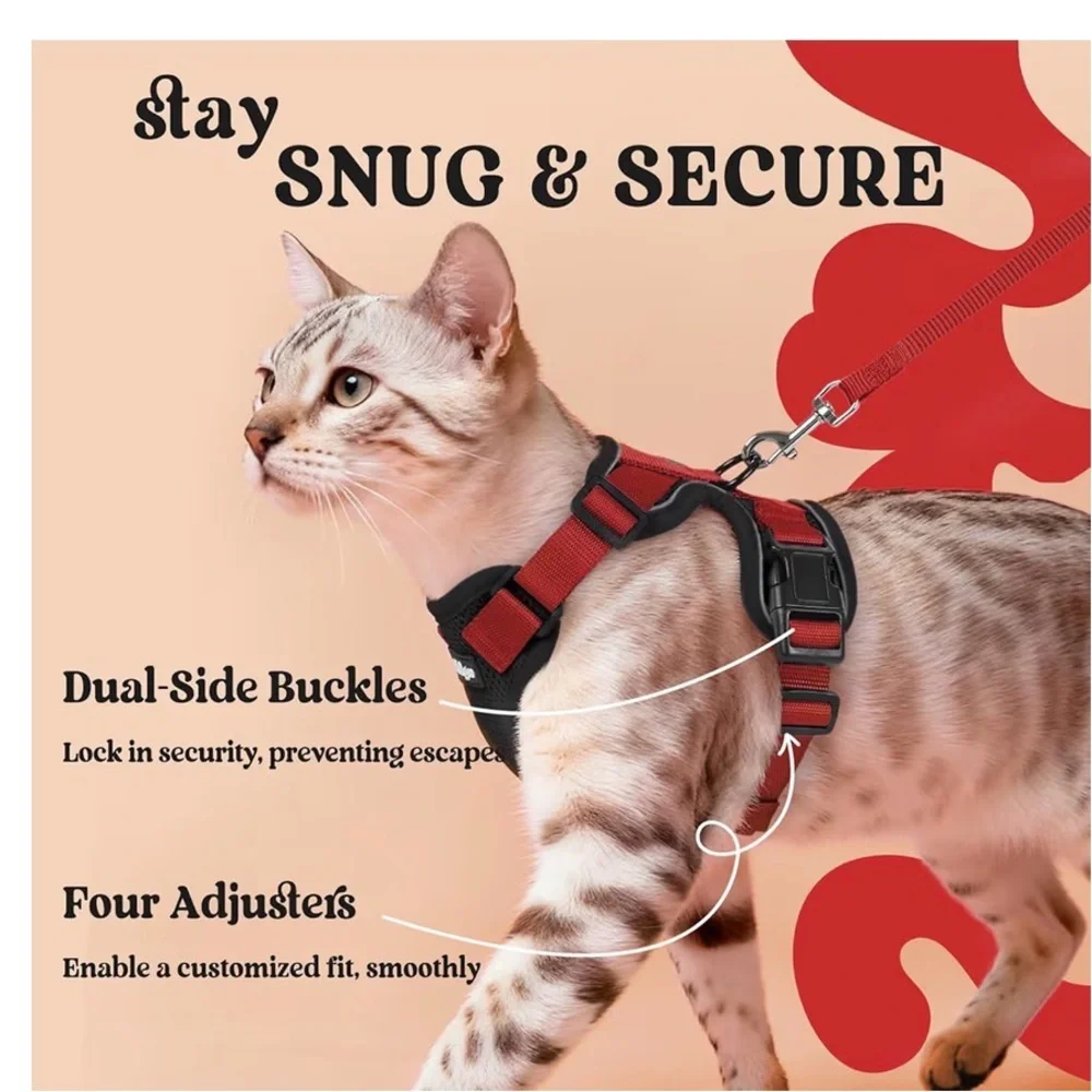 NWT: Cat Harness